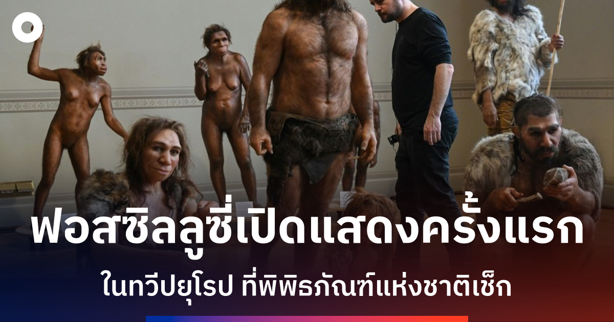 ลูซี่-บรรพบุรุษมนุษย์อายุ-3.18-ล้านปี-เตรียมแสดงครั้งแรกในยุโรปที่เมืองปราก