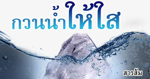 คอลัมน์การเมือง-–-หยุดมลพิษ-รักษาชีวิตและเศรษฐกิจภาคเหนือ