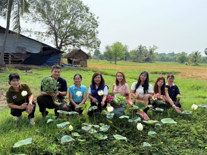 นายอำเภอตาลสุม-ขับเคลื่อนการท่องเที่ยวเชิงเกษตรของชุมชน-เยี่ยมกลุ่มแปรรูปบัวบ้านห่องแดง