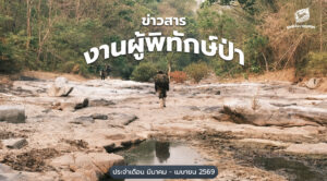 ข่าวสารงานผู้พิทักษ์ป่า ประจำเดือนมีนาคม – เมษายน 2569 – มูลนิธิสืบนาคะเสถียร