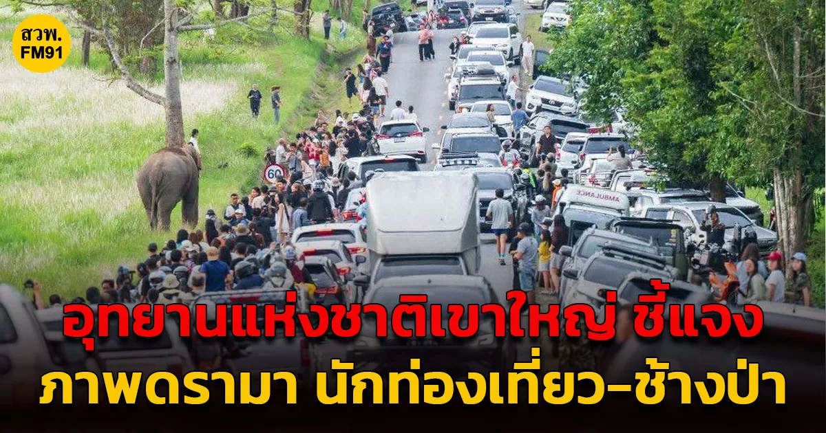 อุทยานแห่งชาติเขาใหญ่-ชี้แจง-ภาพดรามา-นักท่องเที่ยว-ช้างป่า-บริเวณทุ่งกวาง-“ย้ำ”-จนท.คุมเข้มความปลอดภัย