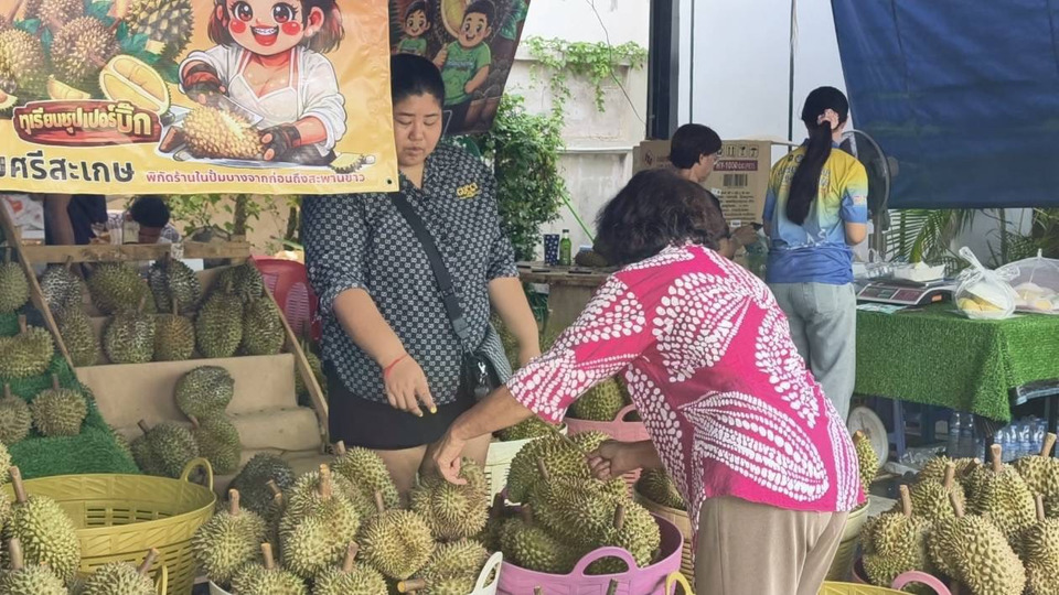 ชาวศรีสะเกษปลื้ม-“ไทยช่วยไทย-พลัส-60/40”-กระตุ้นเศรษฐกิจจริง-ยอดขายทุเรียนพุ่ง