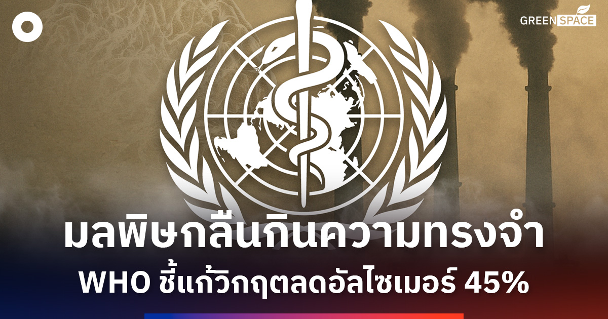 มลพิษกลืนกินความทรงจำ-who-ย้ำแก้วิกฤตสิ่งแวดล้อมลดเสี่ยงภาวะสมองเสื่อม-45%